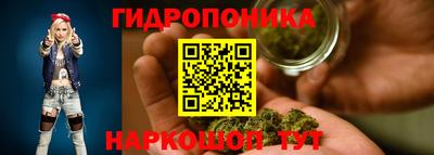 ECSTASY Моздок