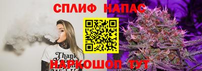 ECSTASY Моздок