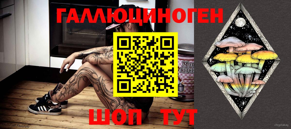 купить наркотики цена  Галлюциногенные грибы ЛСД  Вход с VPN  Тосно  Псилоцибиновые грибы Psilocybe 